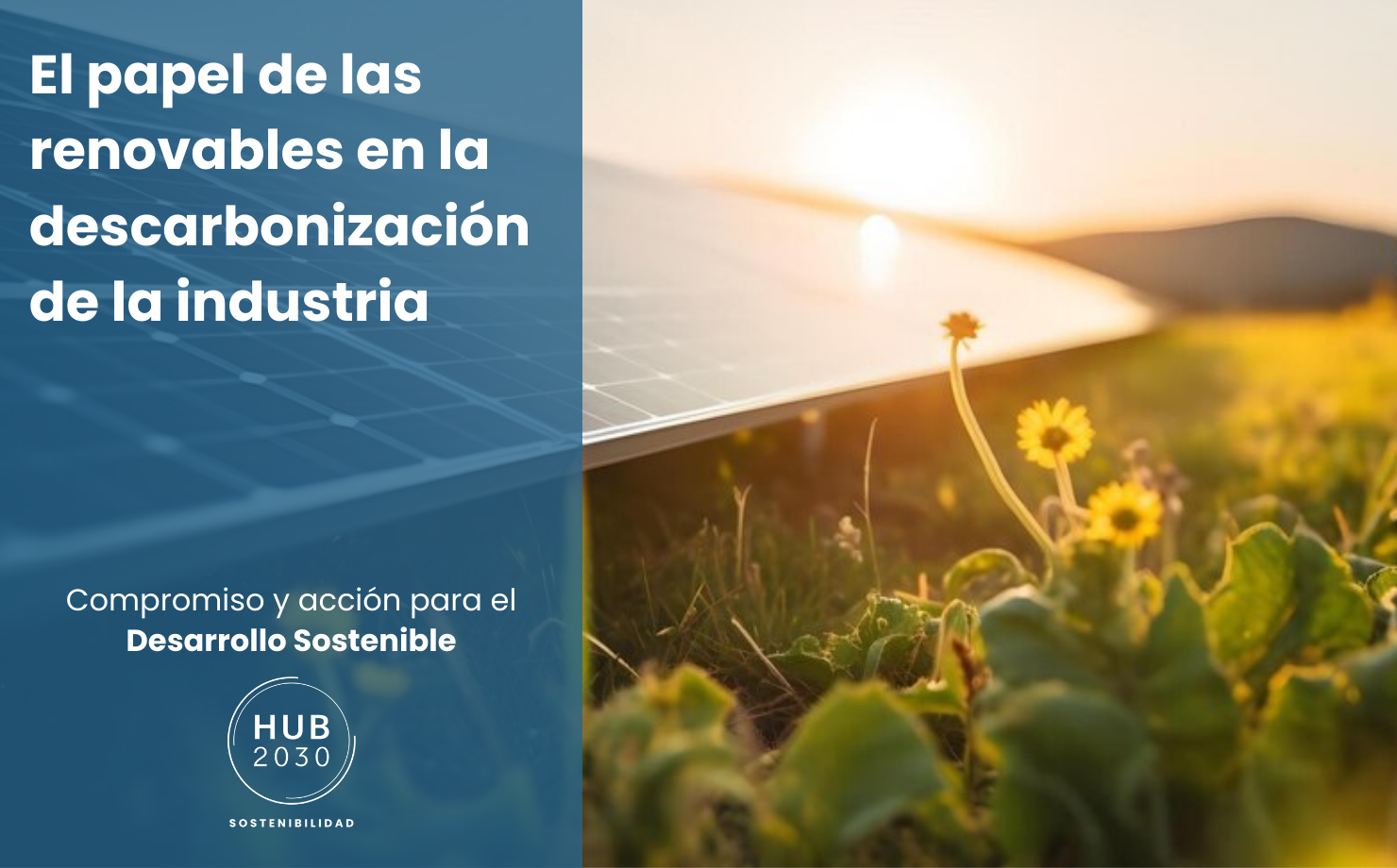 Impacto de las energías renovables en la descarbonización productiva